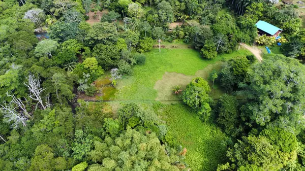 2 Botanical Garden Lots - Isla Colon