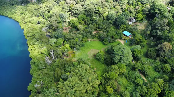 2 Botanical Garden Lots - Isla Colon