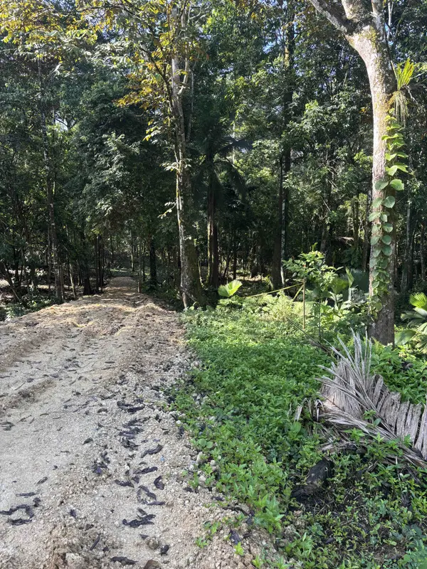 Titled Lots Road to Drago - Isla Colon