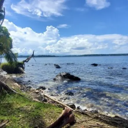 Titled Oceanfront Acreage