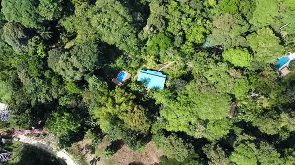 Botanical Garden Villa - Isla Colon