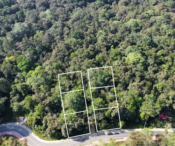 Titled Lots Road to Drago - Isla Colon, 