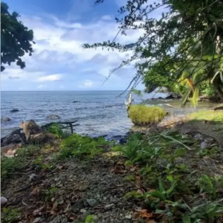 Titled Oceanfront Acreage
