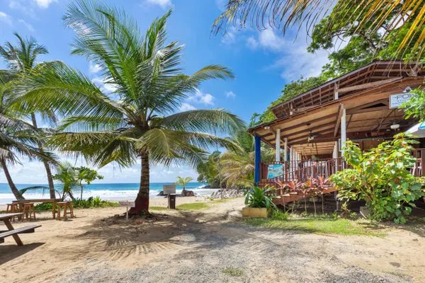 The Point Restaurant - Red Frog Beach, 