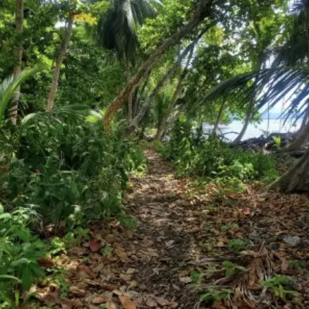 Titled Oceanfront Acreage