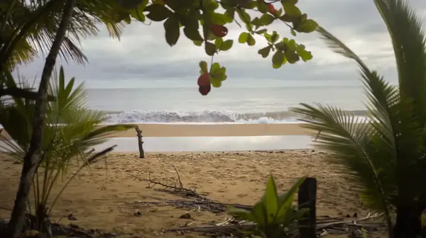 Finca Limones - Bluff Beach