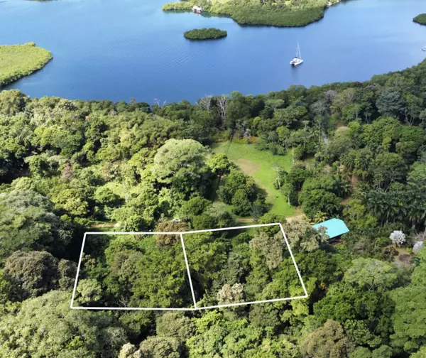 2 Botanical Garden Lots - Isla Colon, 