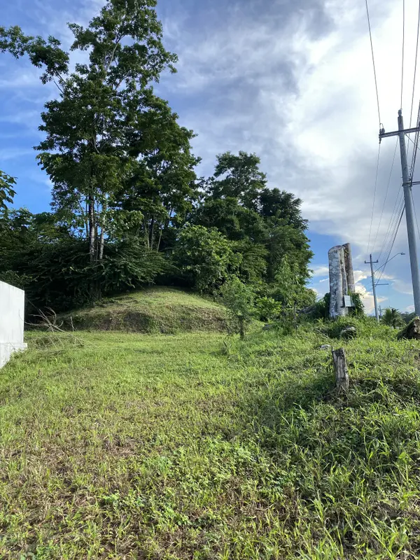 Ocean View Lot - Bocas Town