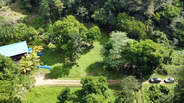 2 Botanical Garden Lots - Isla Colon