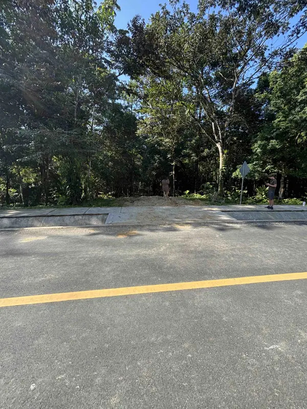 Titled Lots Road to Drago - Isla Colon