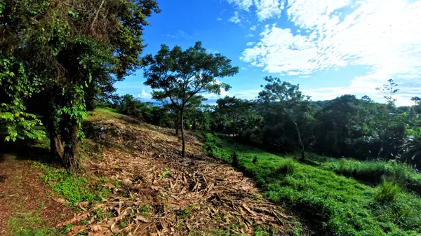 Lot 43 - Red Frog Beach