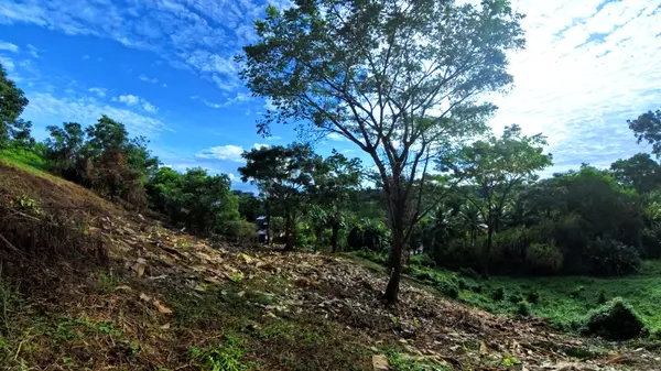 Lot 43 - Red Frog Beach