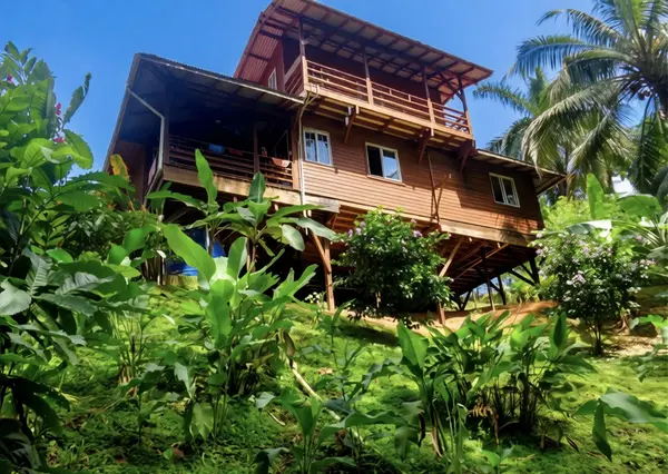 2 Jungle-View Homes, 