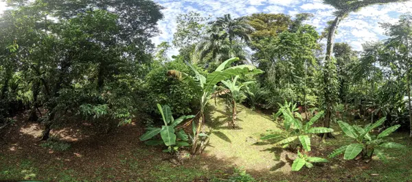 Forest Garden Lot Bastimentos