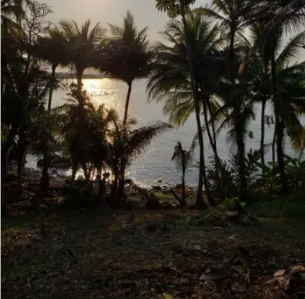 Titled Caribbean Sea, Surf & Sunsets,