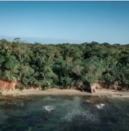 Sunset Cove Red Frog Beach