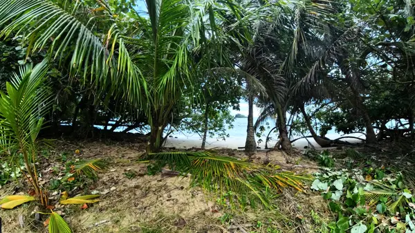 Lot 411 Red Frog Beach