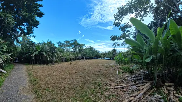 Lot 411 Red Frog Beach, 