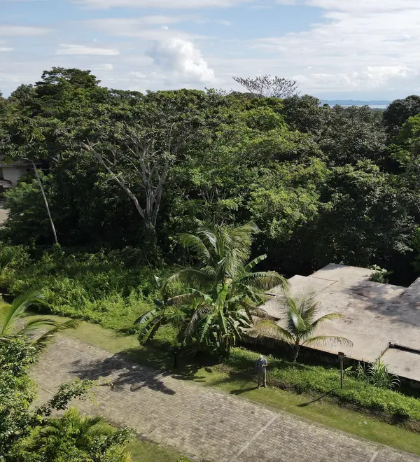 Lot 7 Red Frog Beach, 