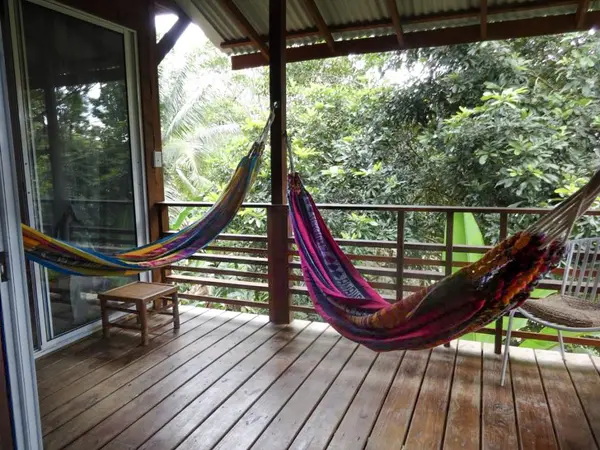 2 Jungle-View Homes