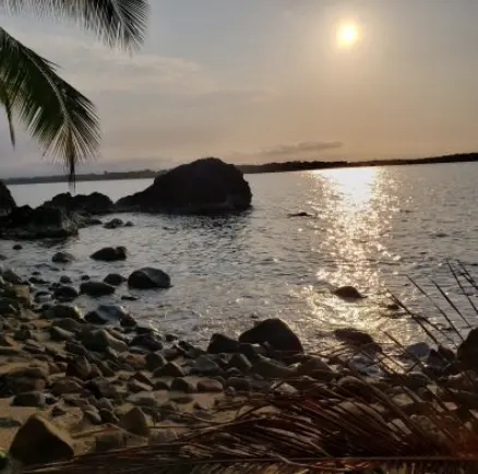 Titled Caribbean Sea, Surf & Sunsets,