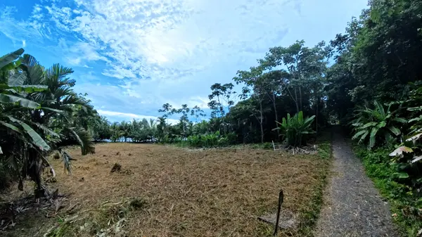 Lot 411 Red Frog Beach