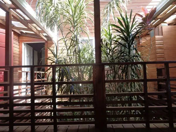 2 Jungle-View Homes