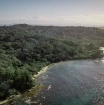 Sunset Cove Red Frog Beach