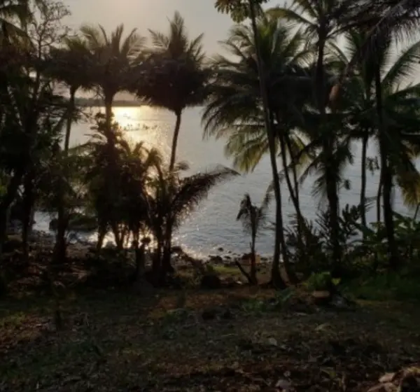 Titled Caribbean Sea, Surf & Sunsets, 