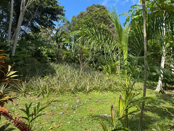 Finca Dos Tucanes