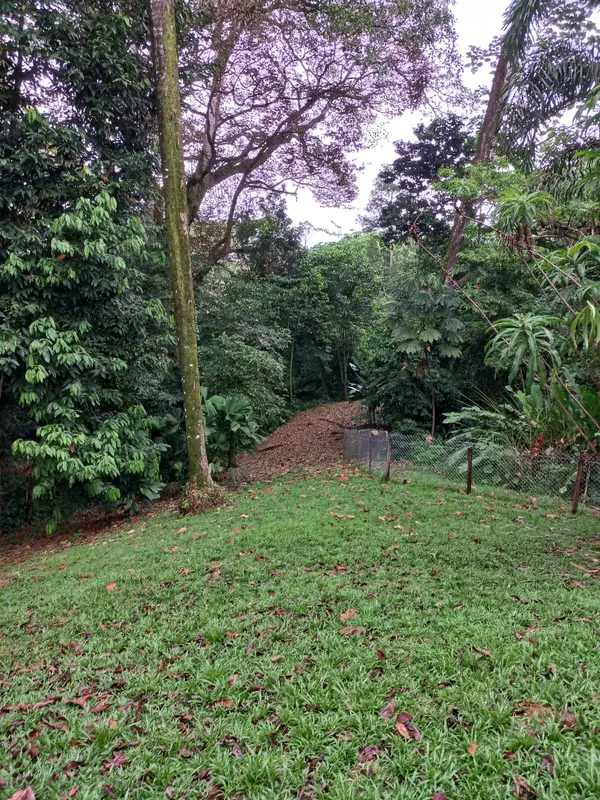 Hill Lot in Botanical Garden, Isla Colon,