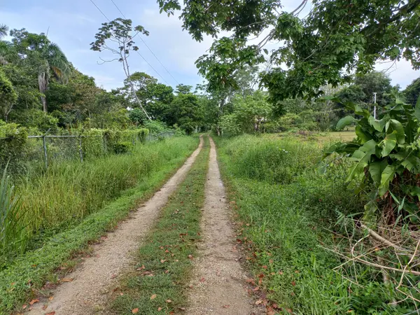 Hill Lot in Botanical Garden, Isla Colon,