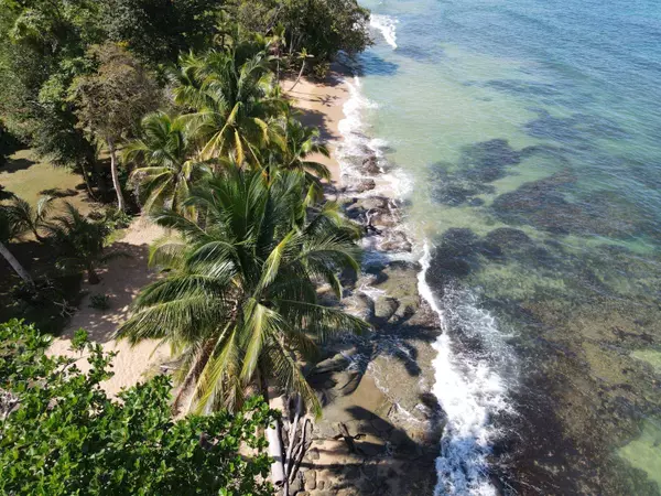 Caribbean Beachfront Home, Boca Del Drago,