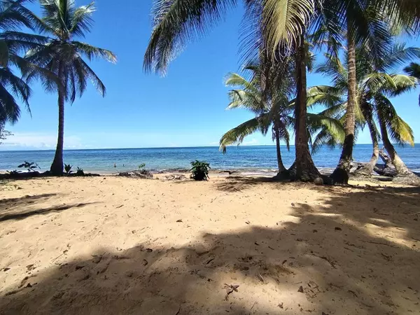 Caribbean Beachfront Home, Boca Del Drago,