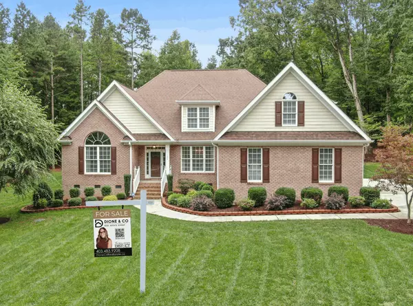 Dione&Co For Sale (1)