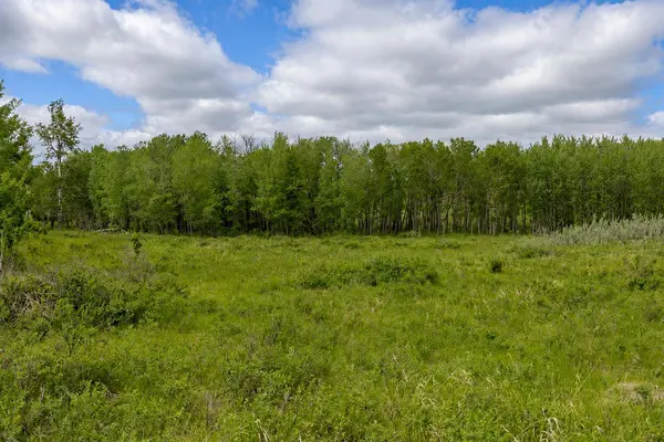 30480 Range Road 12 #16, Rural Mountain View County, AB T0M0N0