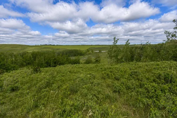 30480 Range Road 12 #16, Rural Mountain View County, AB T0M0N0