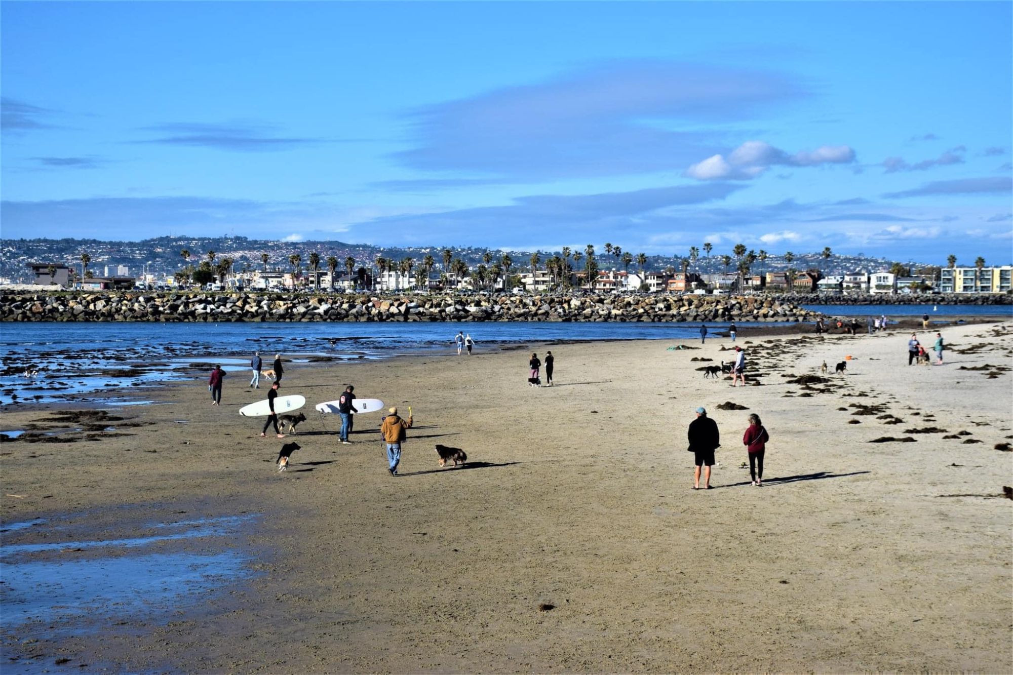 Ocean Beach San Diego — coastal community real estate 2026