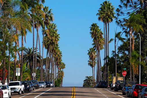 Point Loma San Diego home on a tree-lined street — coastal real estate