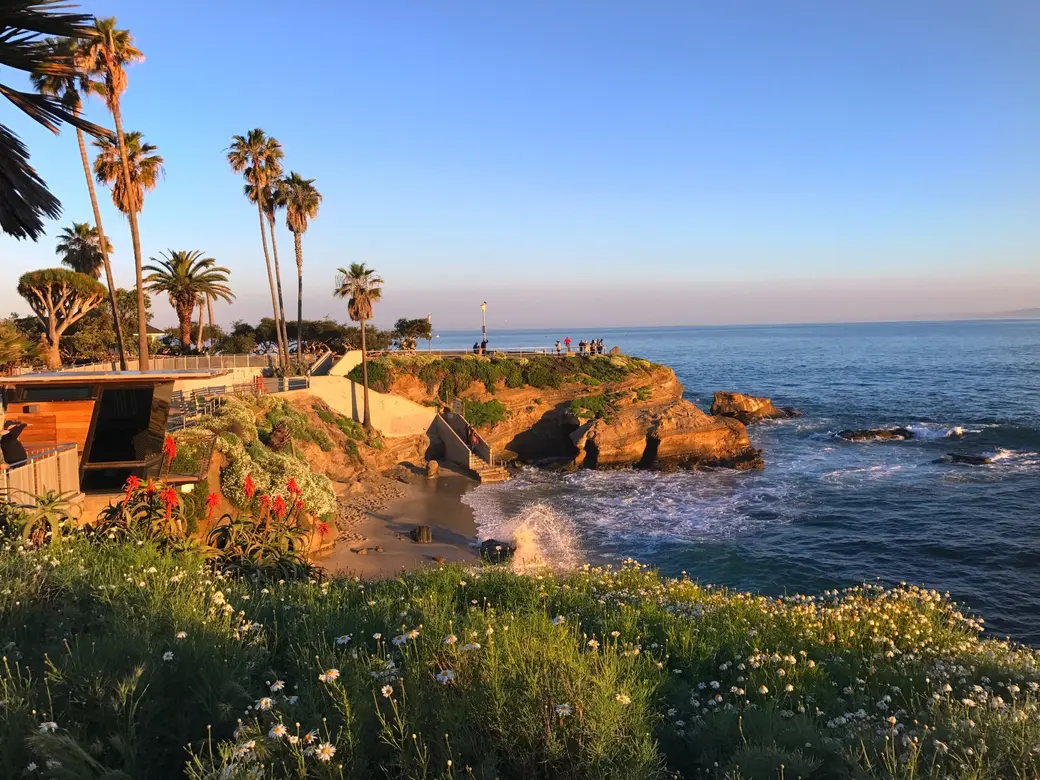 Living in La Jolla, CA: Coastal Luxury, Village Life, and San Diego's Premier Real Estate Market