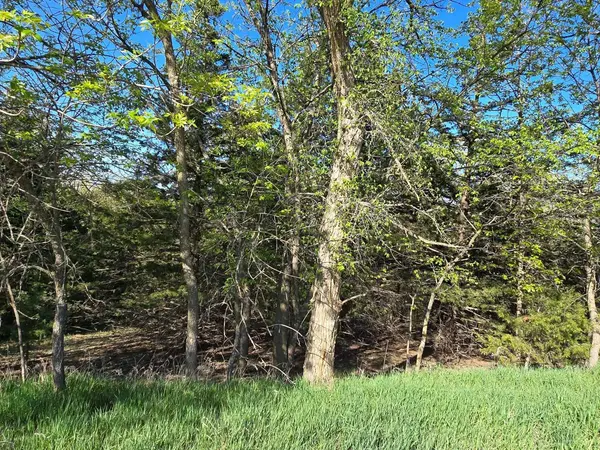 TBD S Ridgeway Drive, Yankton, SD 57078