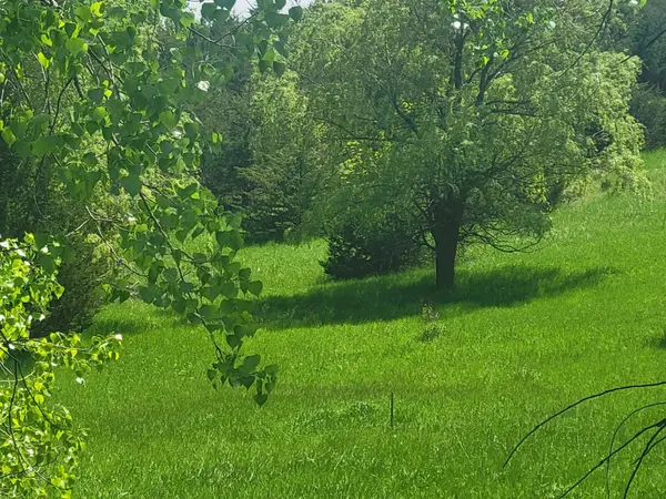 170 Sherwood Dr, Yankton, SD 57078