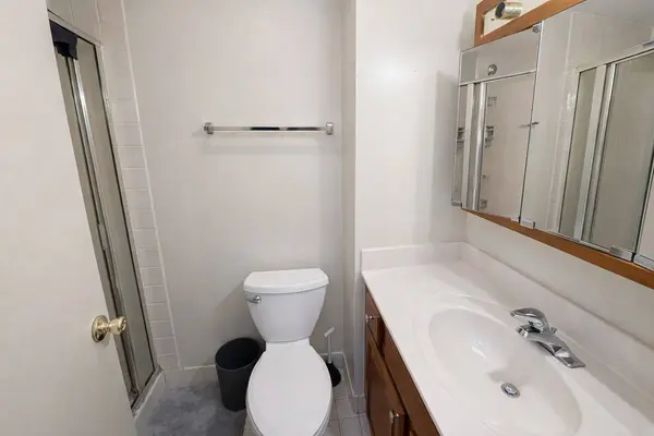 2605 S Indiana AVE #301, Chicago, IL 60616