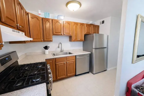 2605 S Indiana AVE #301, Chicago, IL 60616