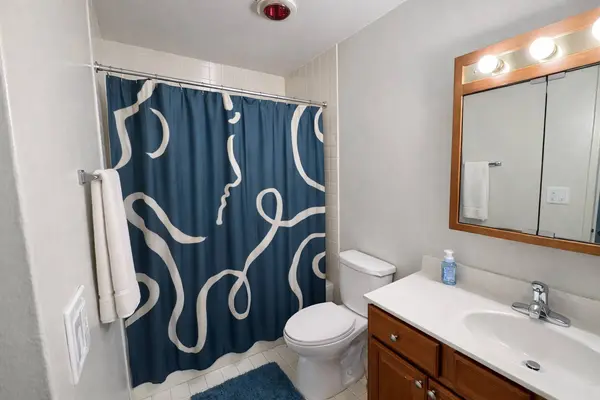 2605 S Indiana AVE #301, Chicago, IL 60616