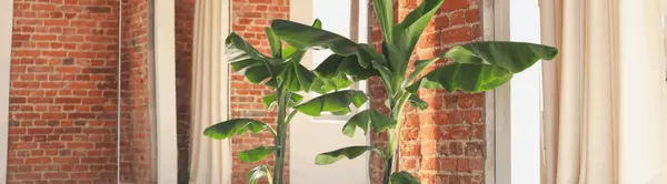 Your January Wellness Lineup in Southern Utah,Annalisa Bondad