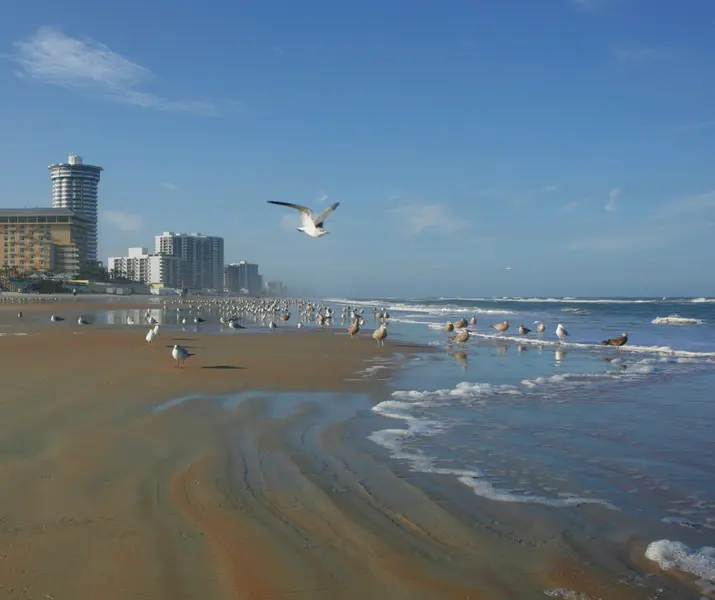 Daytona Beach Shores