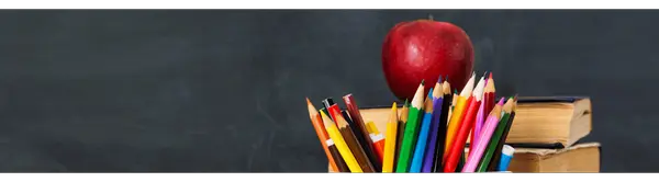 Moving to a New Area? How to Choose the Right School in Volusia County,Kalie Luckenbaugh