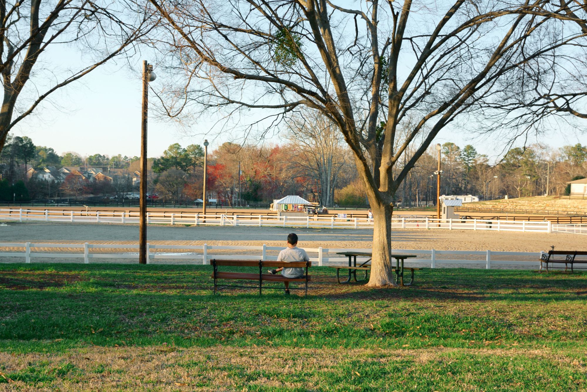 A person sitting alone on a park bench beneath large shade trees, looking out over a wide grassy lawn toward a white fenced riding arena