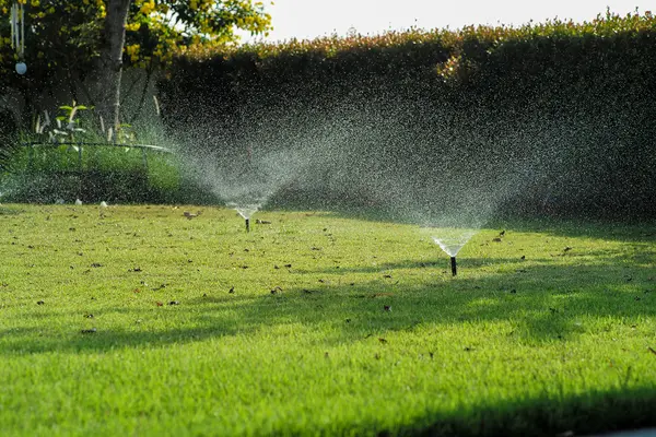 How Las Vegas Water Restrictions Affect Homebuyers and Landscaping Choices,Nick Giorgi